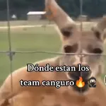 Team Canguro 