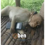 Türk Meme