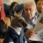 Canguro 2 🦘Tiktok 🔥