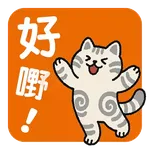 汪喵香港遊_Lordpet.studio