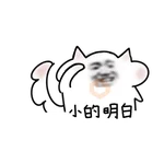 Yuricat