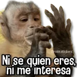 Changuitos pa Ti🐒🍌🌴