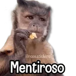 Changuitos pa Ti🐒🍌🌴