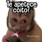Changuitos pa Ti🐒🍌🌴