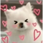 Cute doggy 🐶✧*