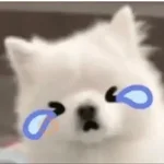Cute doggy 🐶✧*
