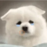 Cute doggy 🐶✧*