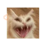 michis memes
