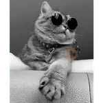 michis memes