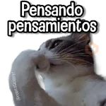 Gatitos Random🐱