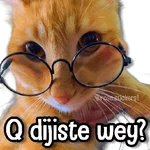 Gatitos Random🐱