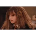 Harry Potter ⚡️🪄