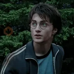 👓 Harry Potter ⚡