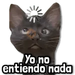 🎯 Stickers sin Filtro! #➏