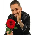 maluma beibi