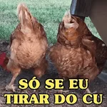 GALINHAS DEBOCHADAS 🐔