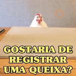 GALINHAS DEBOCHADAS 🐔