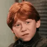 🧹 HARRY POTTER 🧹