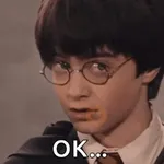 🧹 HARRY POTTER 🧹