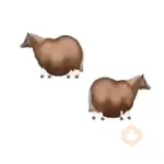 fat horse | Spinning horse 🐎