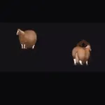 fat horse | Spinning horse 🐎