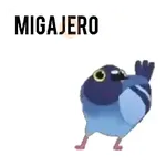 Paloma migajera 🕊️🐦