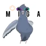 Paloma migajera 🕊️🐦