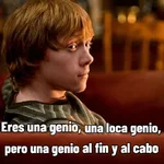 Harry Potter 🪄