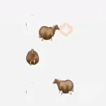 Fat Horse 🐴🐎