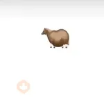 Fat horse 🐴✨