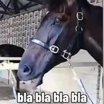 Fat horse 🐴✨