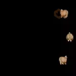 FAT HORSE SPINNING