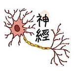 貓狐與倉鼠 Vol.2