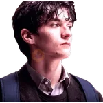 Harry