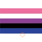 bandeiras lgbtqiapn+
