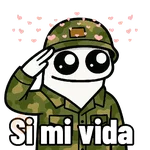 Flork soldado 🫡🩷🥰