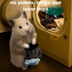 FRASES HAMSTER 🐹🥰