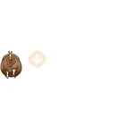 fat horse