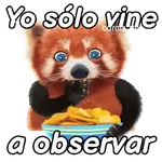 Animales Random pa contestar 💬