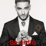 📮🎙️MALUMA Memes🎙️📮