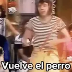 💣Memes animaditos 3💥