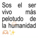 Stickers de texto brat💗💗
