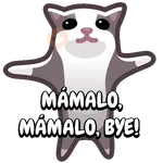 🦝Mascotas Animadas/TikTok🐶