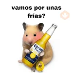 FRASES HAMSTER 2 🐹✨️