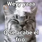 Frío 🧊🌬️❄️🌨️
