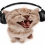 ouvindo música