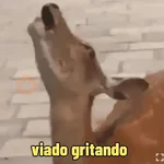 Aleatorios | Meme | tiktok