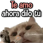 Amor Memes❤️🔥💖