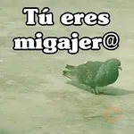 🧿Paloma Migajera🍞🕊️