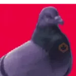 🧿Paloma Migajera🍞🕊️
